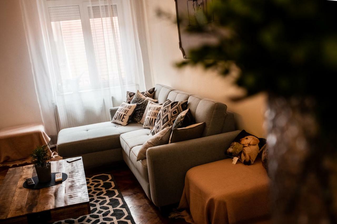 Art Downtown Alecsandri St Luxury Apartment Oradea Eksteriør billede