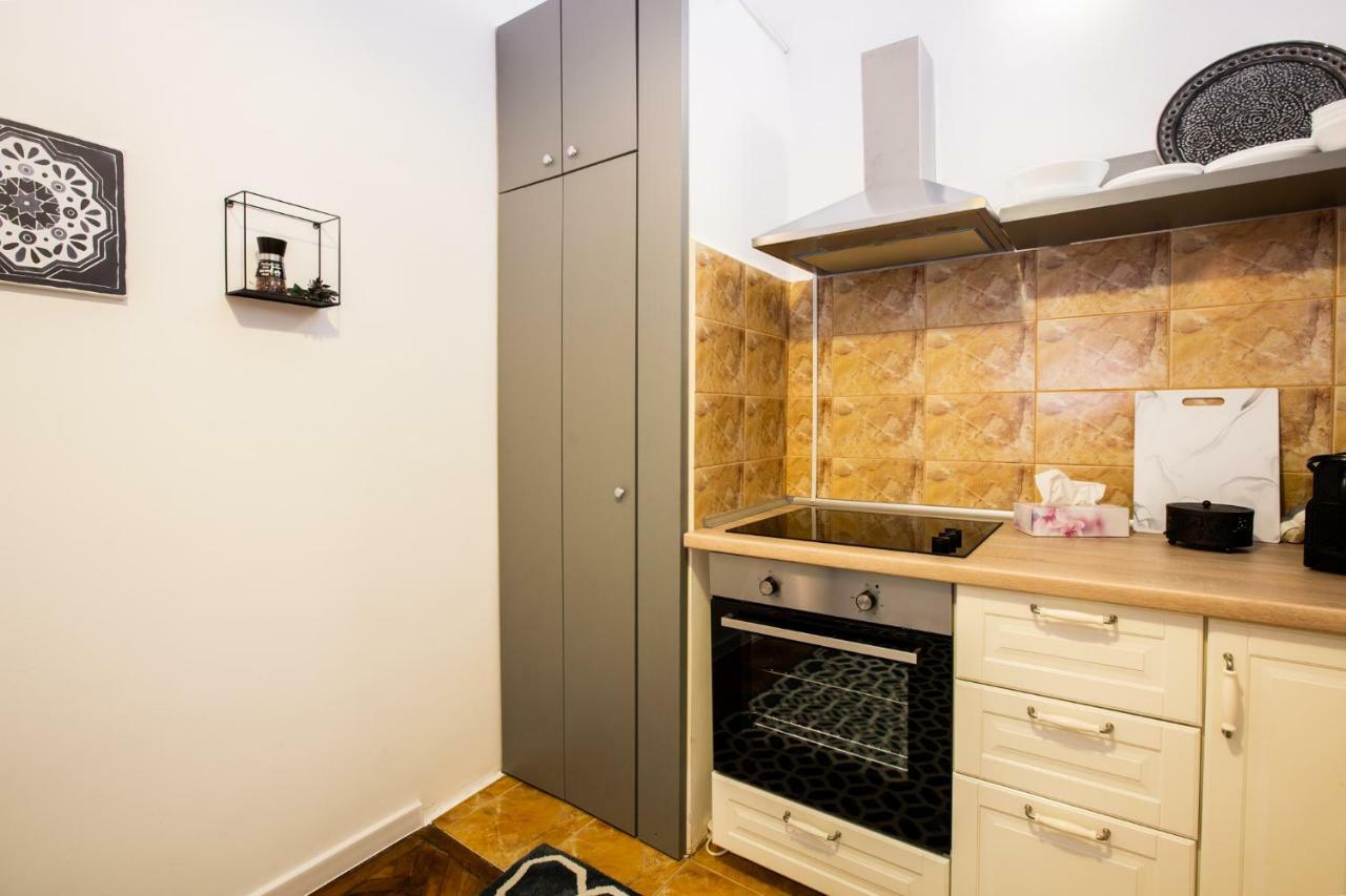 Art Downtown Alecsandri St Luxury Apartment Oradea Eksteriør billede